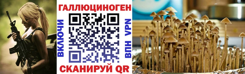 Купить закладки  Магас  Псилоцибиновые грибы GOLDEN TEACHER 