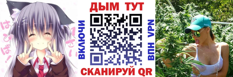 Купить  Магас  Шишки марихуана сатива 